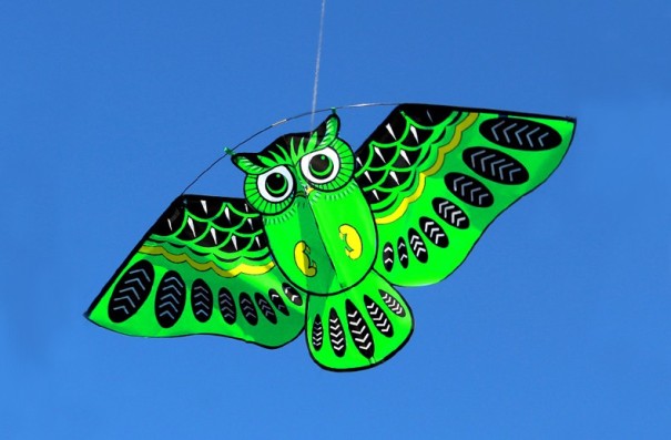 Lietajúci drak - sova 110 cm vo viacerých farbách zelená