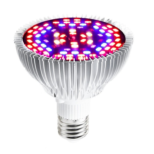 Light Bulb for Home Growing 50 W 1