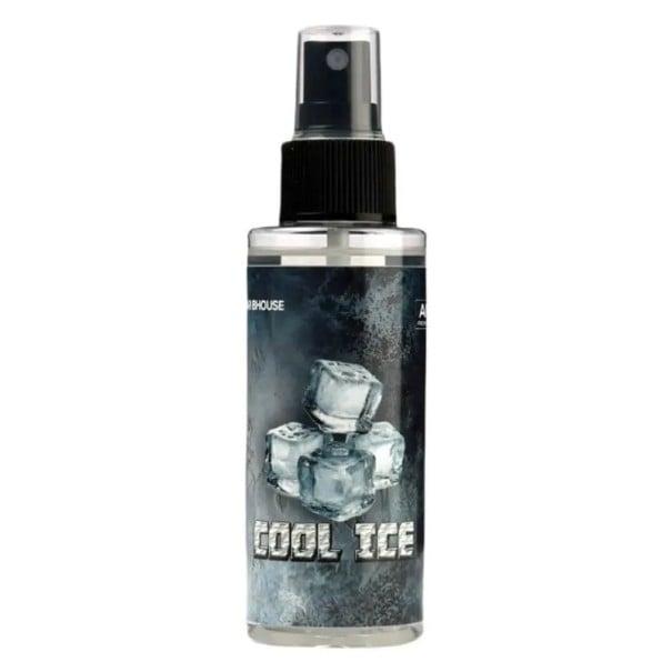 Luchtverfrisser voor auto spray langdurige parfum 100 ml interieurverfrisser voor voertuigen frisse aroma spray voor auto 2