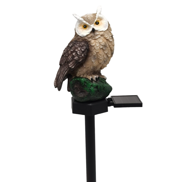 Lumière décorative solaire de jardin 4