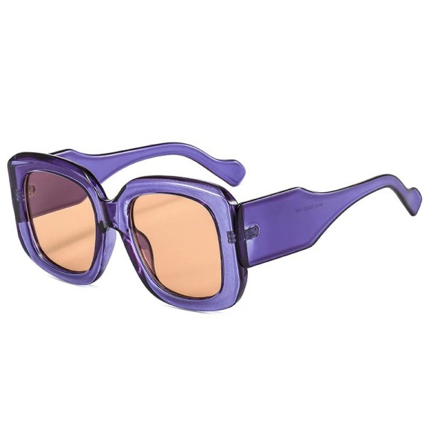 Lunettes de soleil pour femmes E1387 violet