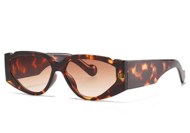 Lunettes de soleil pour femmes E1548 3