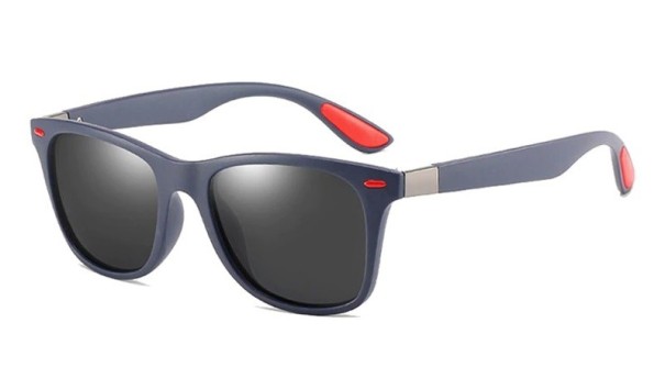 Lunettes de soleil pour hommes E1918 11