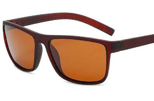 Lunettes de soleil pour hommes E1930 4