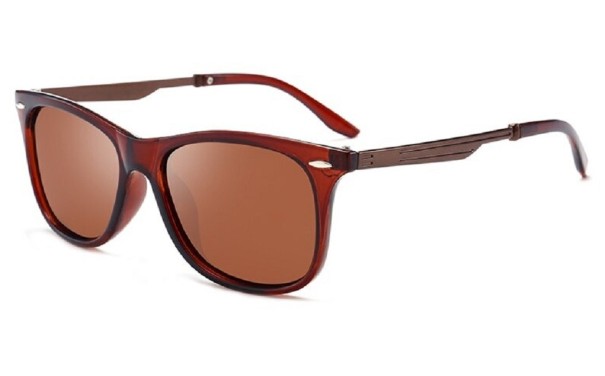 Lunettes de soleil pour hommes E2006 2