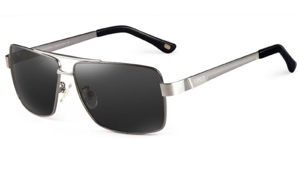 Lunettes de soleil pour hommes E2012 argenté