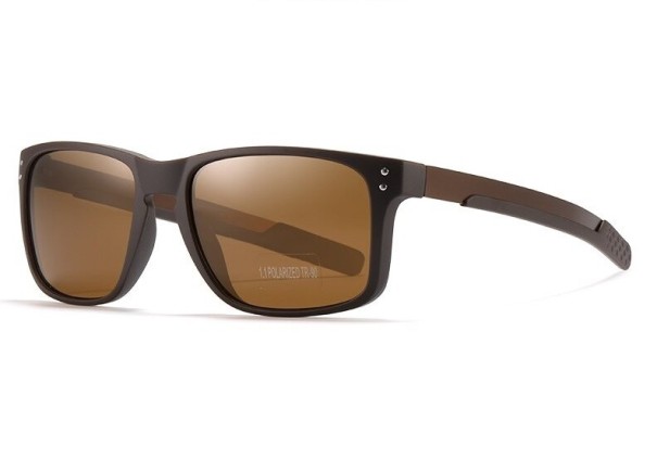 Lunettes de soleil pour hommes E2025 2