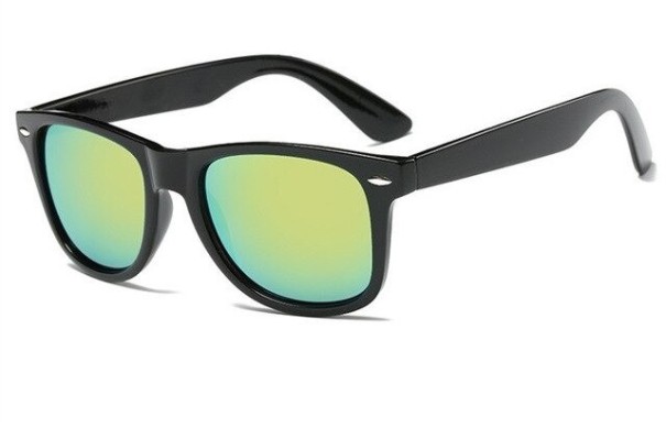 Lunettes de soleil pour hommes E2027 4