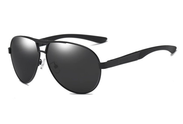 Lunettes de soleil pour hommes E2031 1