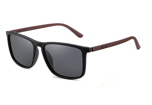 Lunettes de soleil pour hommes E2039 1