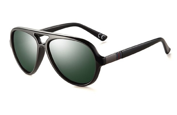 Lunettes de soleil pour hommes E2066 1