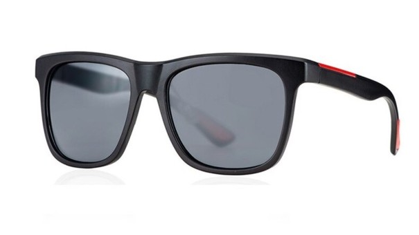 Lunettes de soleil pour hommes E2086 2