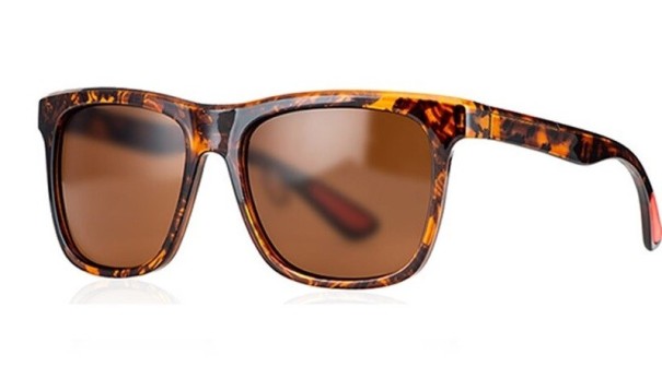 Lunettes de soleil pour hommes E2086 4