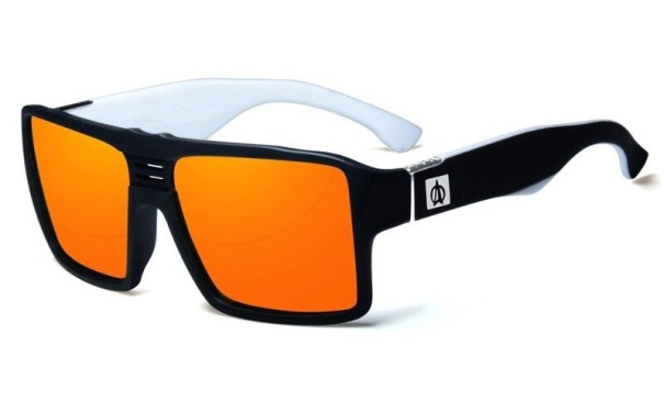 Lunettes de soleil pour hommes E2125 2