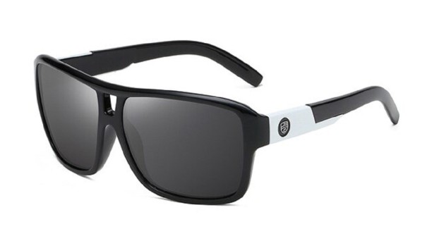 Lunettes de soleil pour hommes E2148 1