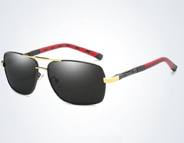 Lunettes de soleil pour hommes E2169 2