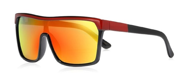 Lunettes de soleil pour hommes E2181 2