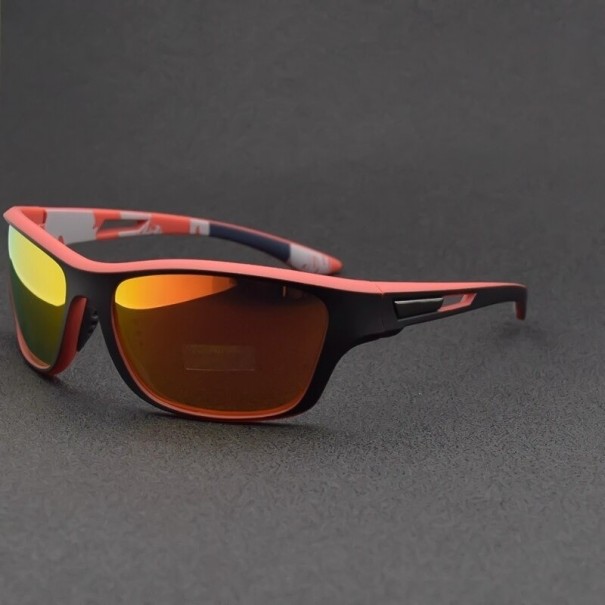 Lunettes de soleil pour hommes E2187 4