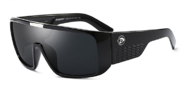 Lunettes de soleil pour hommes E2199 1