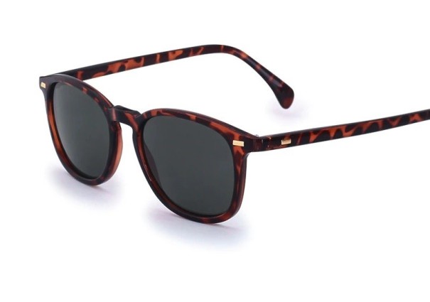 Lunettes de soleil pour hommes E2211 1