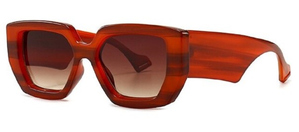 Lunettes de soleil pour hommes E2228 2