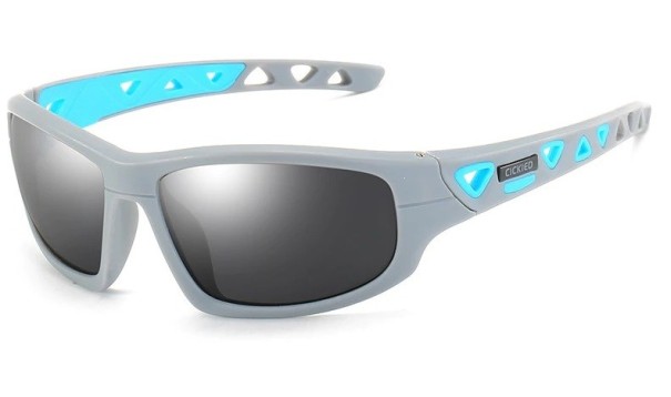 Lunettes de soleil pour hommes E2262 4
