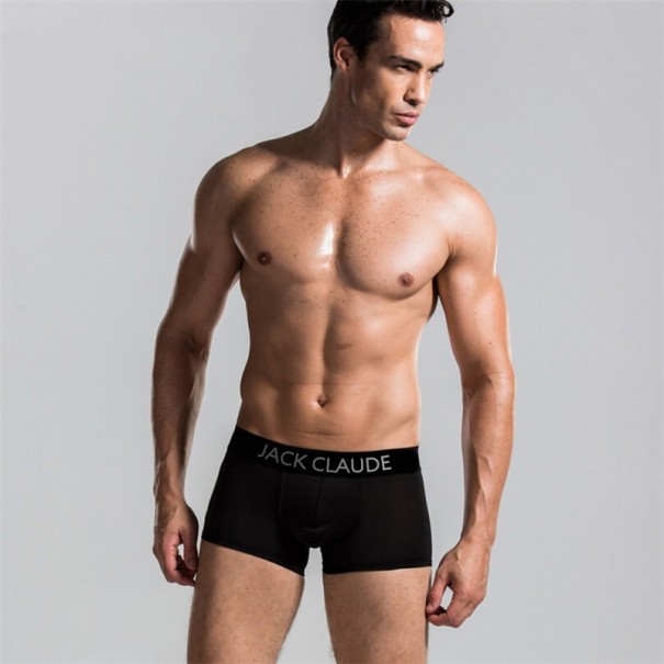 Luxuriöse Herren-Boxershorts – Schwarz M