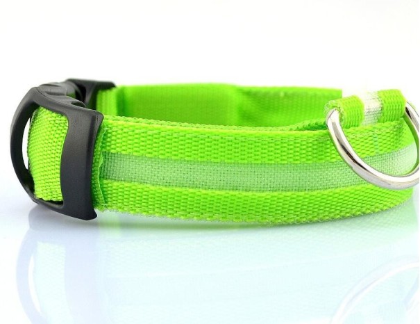 Lysande LED-halsband för hundar grön S