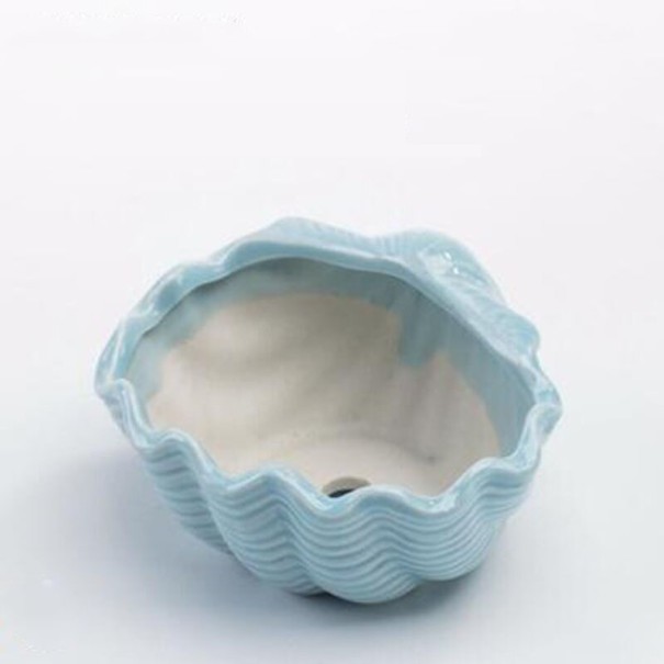 Maceta decorativa en forma de concha azul claro 4