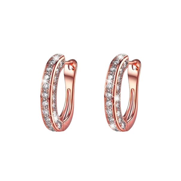 Magnetische oorbellen voor gewichtsverlies roségoud