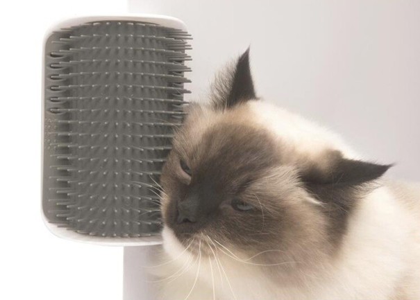 Massageborstel voor katten
