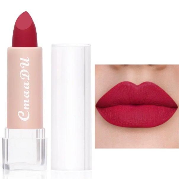Matná rtěnka s voděodolným dlouhotrvajícím účinkem Make-up na rty Voděodolná kosmetika 8