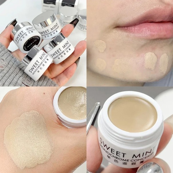 Matte waterproof concealer 6,5 g Langdurige concealer voor donkere kringen en oneffenheden Lichtgewicht textuur Concealer met volledige dekking 6