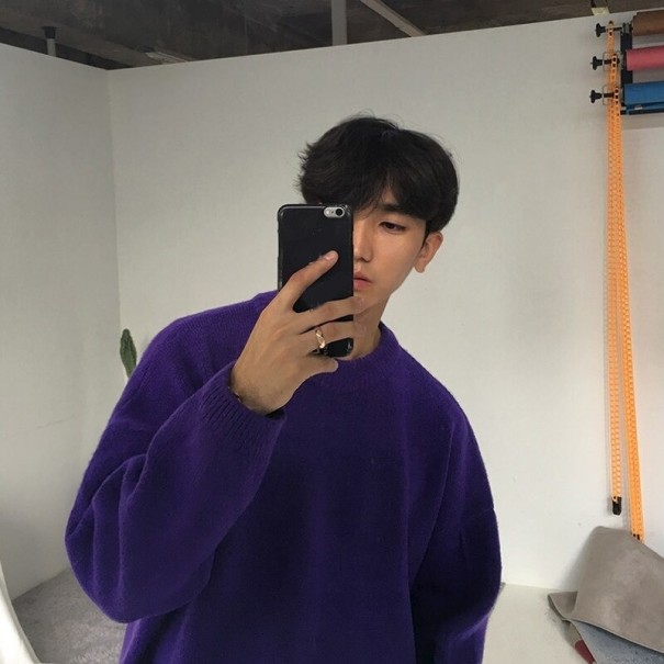 Men's Sweater F221 purple M