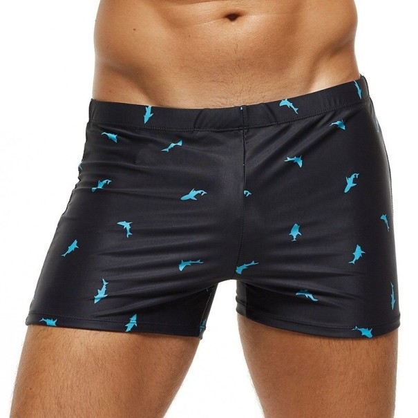 Men's Swimwear F1001 L 6