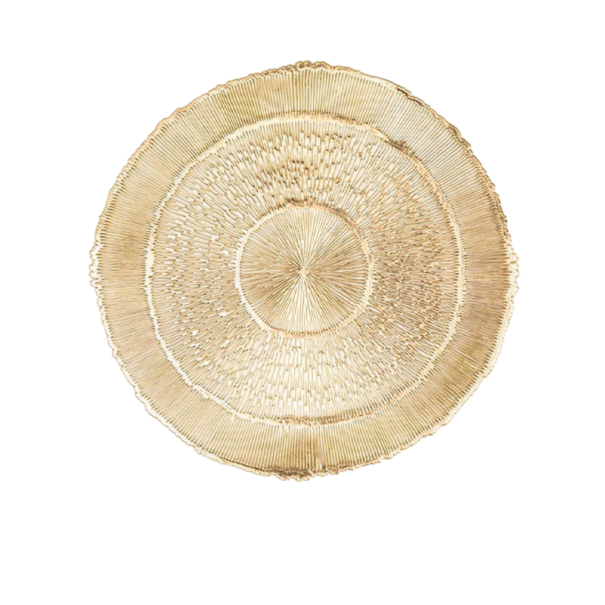 Mese din PVC pentru farfurii și căni cu design decorativ rotund 38 cm, modern, protecție din PVC pentru masa de dining pentru decorarea mesei acasă aur