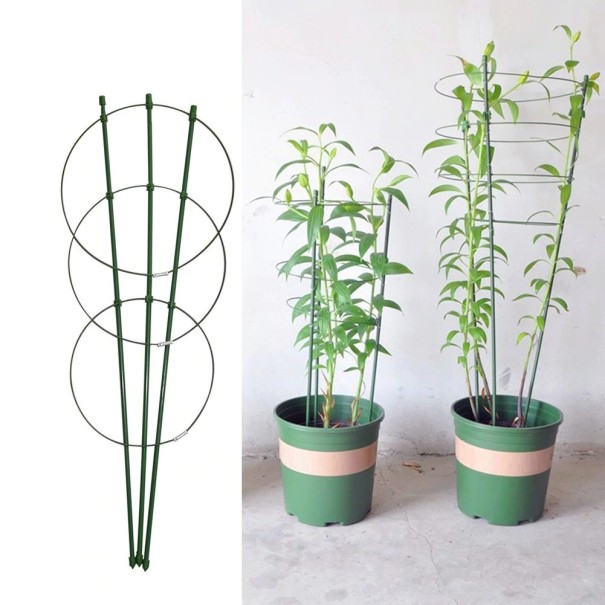 Metalen steun voor klimplanten