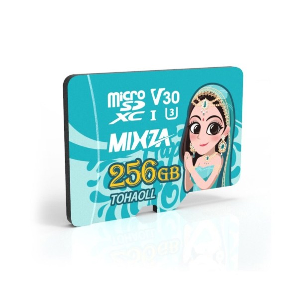 Micro SDHC/SDXC hukommelseskort 2 stk. 256GB