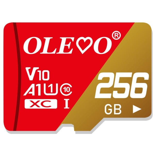 Micro SDHC/SDXC minneskort K223 256GB