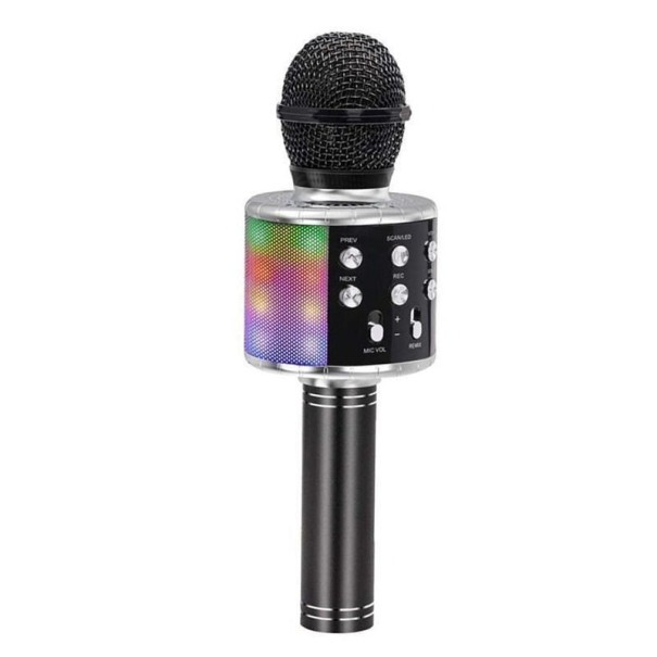 Microfon karaoke pentru copii P4098 negru