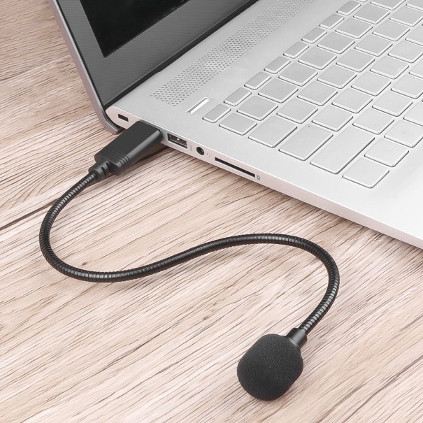 Microphone flexible 1