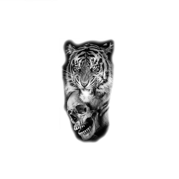 Midlertidig vandtæt tatovering 11,5 x 21 cm Tiger med kranium Moderne realistisk motiv Holder op til 15 dage Nem påføring Kropstatovering 1