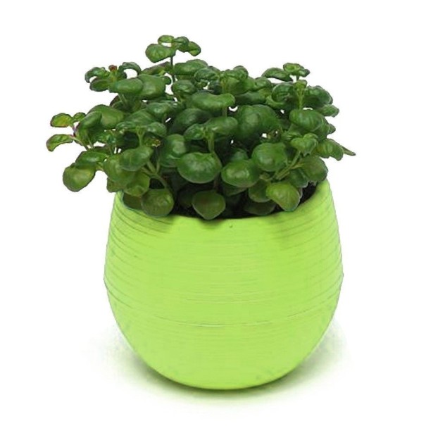 Mini macetero con cuenco C1168 verde