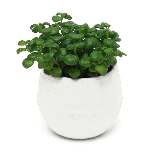 Mini pot de fleurs avec soucoupe C1168 blanc