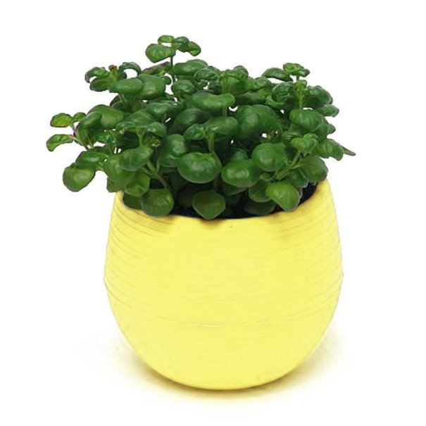 Mini pot de fleurs avec soucoupe C1168 jaune