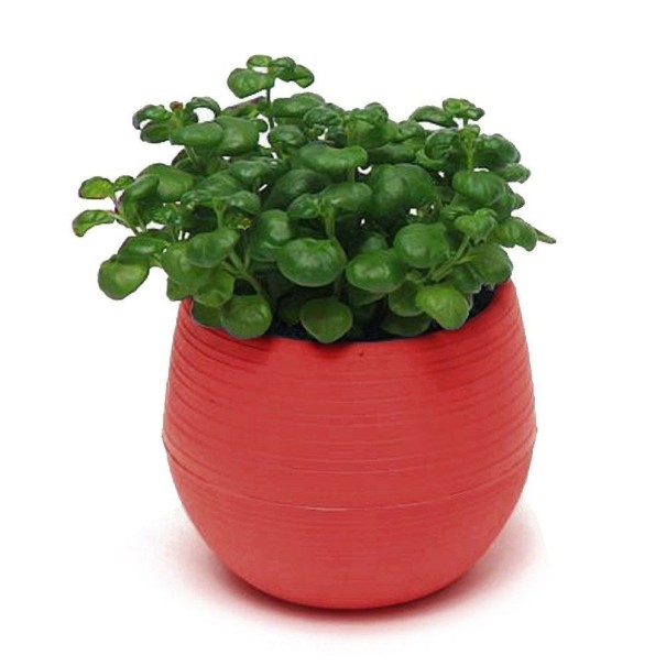 Mini pot de fleurs avec soucoupe C1168 rouge
