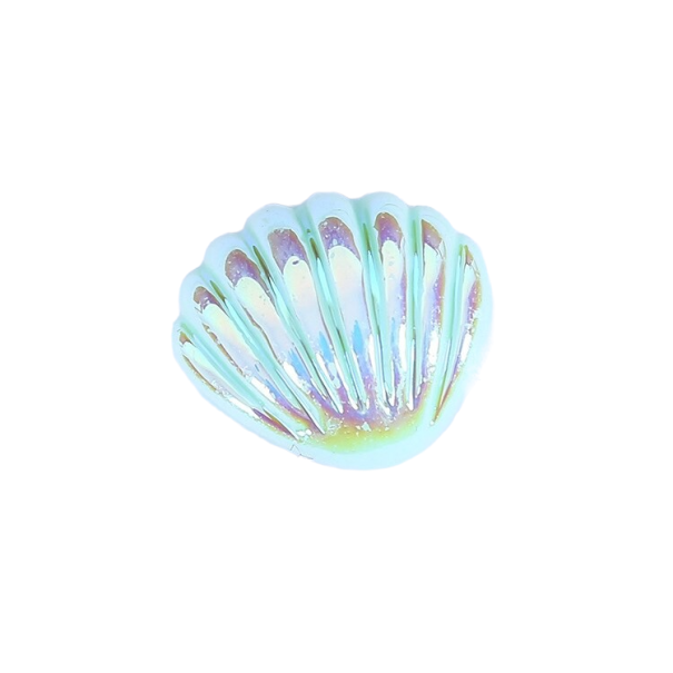 Mini schelpdecoratie turquoise