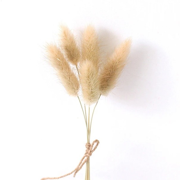 Mini tørret græs 13 cm Dekoration af papir Kunstige blomster Bundt af pampasgræs til bryllup fødselsdage boligindretning 1