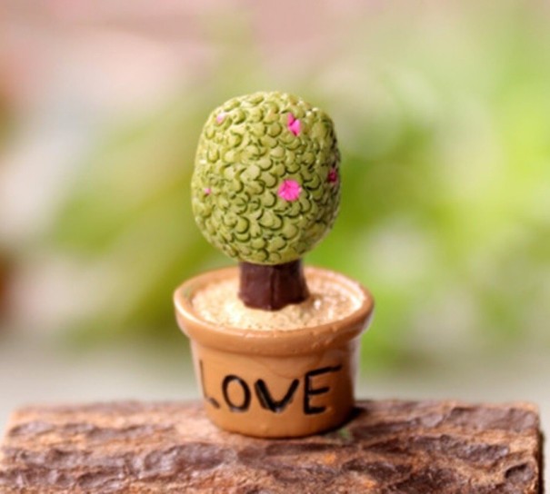 Miniatura decorativa di cactus 5