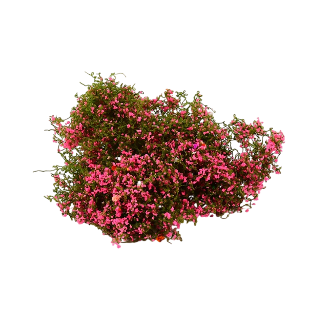 Miniature Bunch of Plants 3 g Model Foliage and Bushes Greenery for Diorama Model Landscape 4